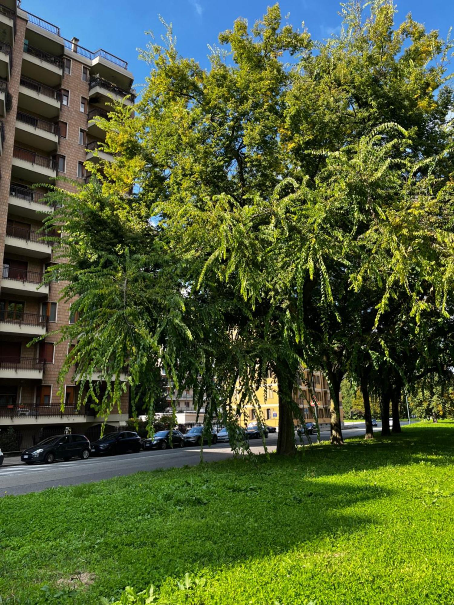 Il Belvedere Turin